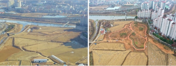 수변녹지조성사업 1단계 전(왼쪽) 후(오른쪽) 모습 (사진제공:한강청)