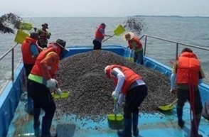 경기도 풍요로운 경기바다를 위해 273억원 투입